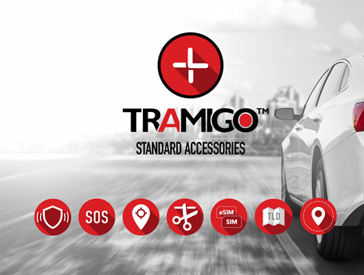 https://tramigo.com/app/uploads/2020/11/standard-accessories-intro.jpg